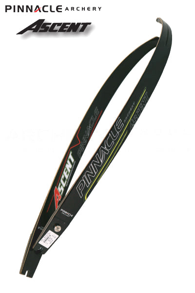 ASCENT DOUBLE WOOD LAYER LIMBS