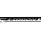 Epic Fusion EX High Modulus Cross Carbon Stabilizer & Infitec Nexus V-Bar Set